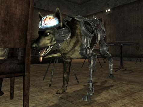 fallout new vegas dog companion|fallout new vegas rex location.